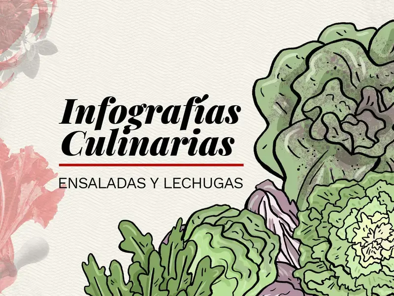 variedades de lechuga infografia