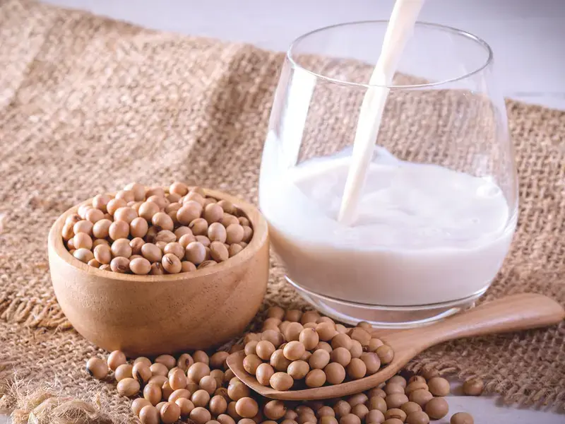 Leche de soja