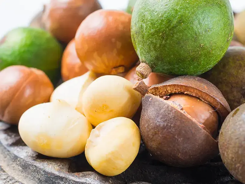 Nueces de Macadamia