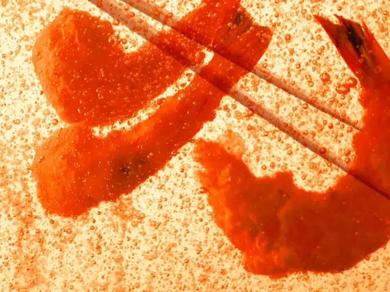 Tempura