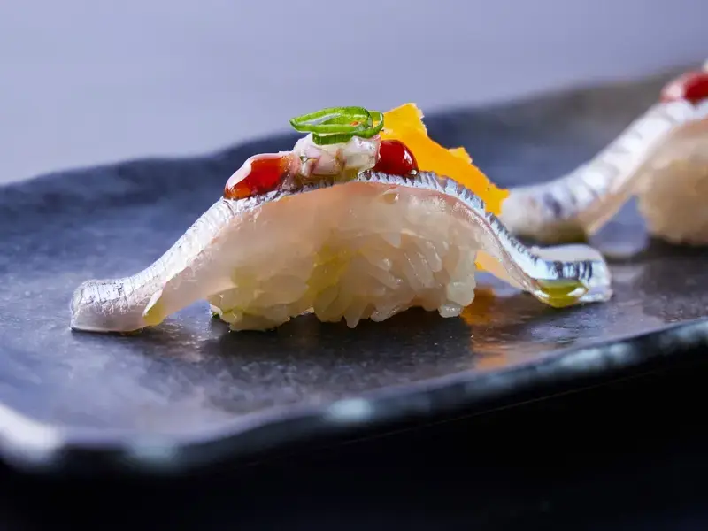 Plato de Shizen
