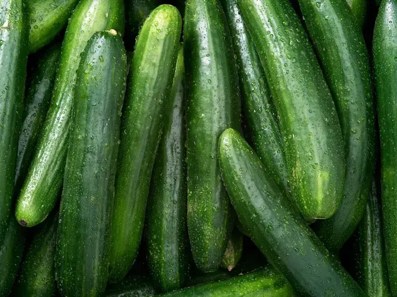 Las variedades de pepino más comunes y cómo comerlas