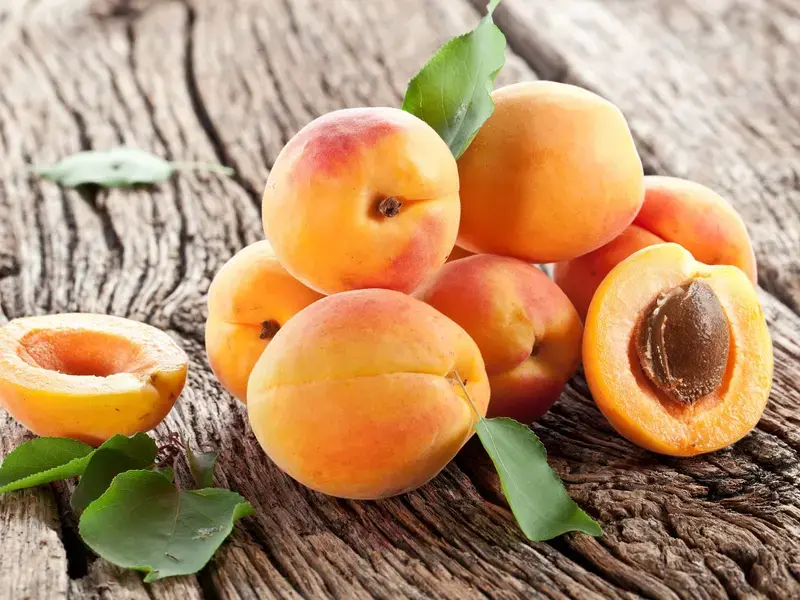 albaricoques