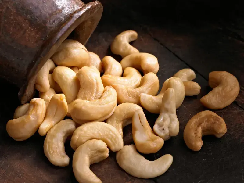 anacardo