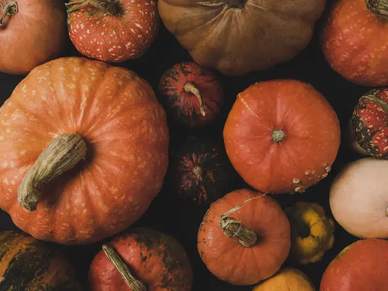 Tipos de calabazas - Fine Dining Lovers