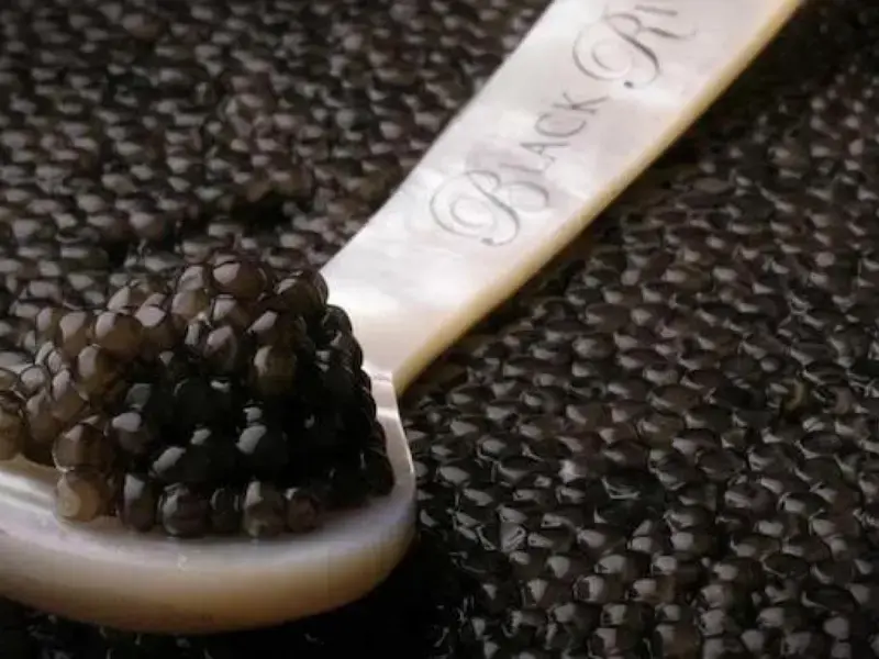 Caviar