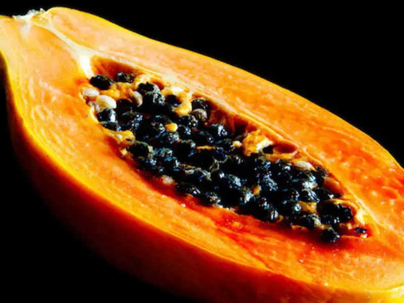 Papaya