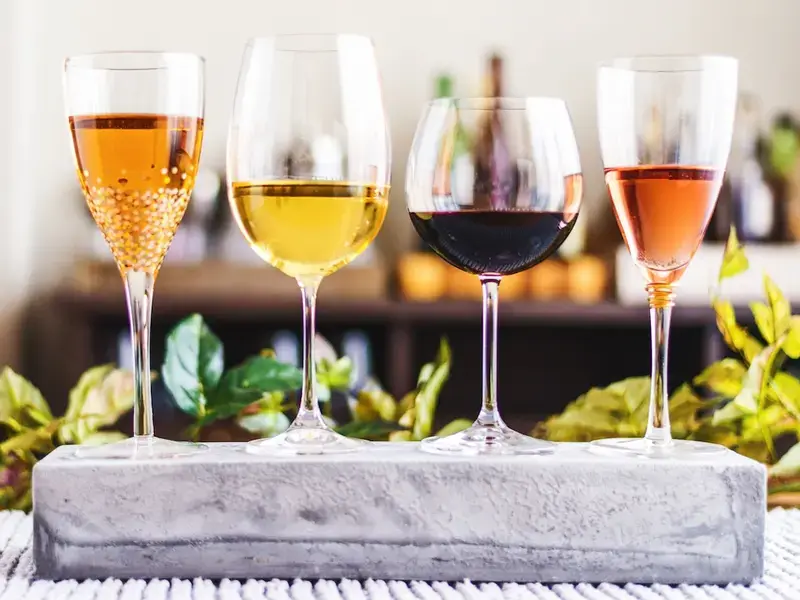 10 tipos de copas de vino que debes conocer