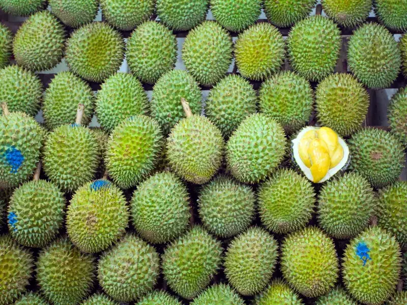 durian