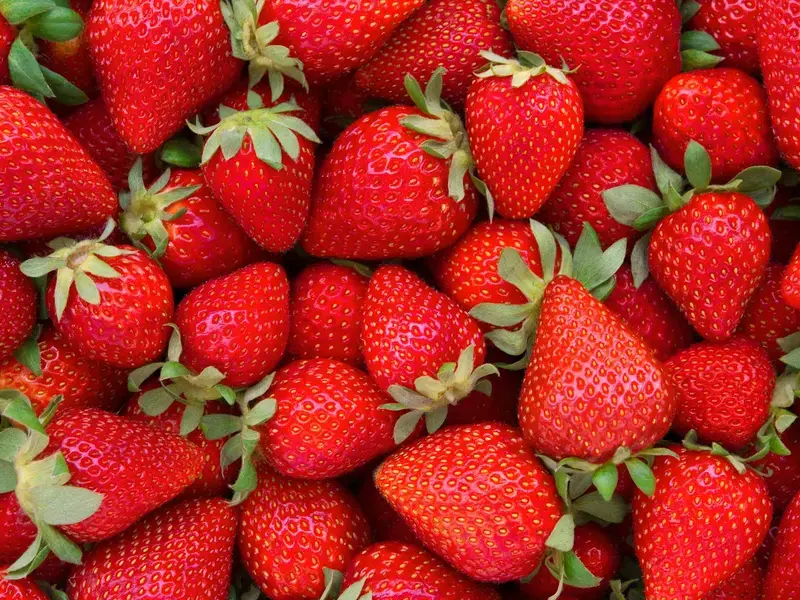 fresas
