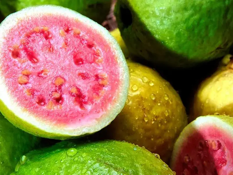 Guayaba