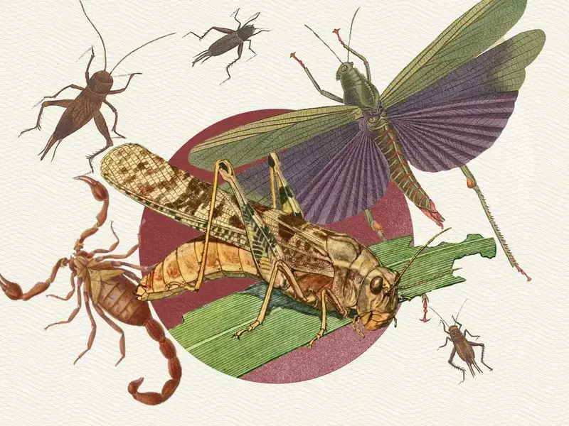 Insectos comestibles