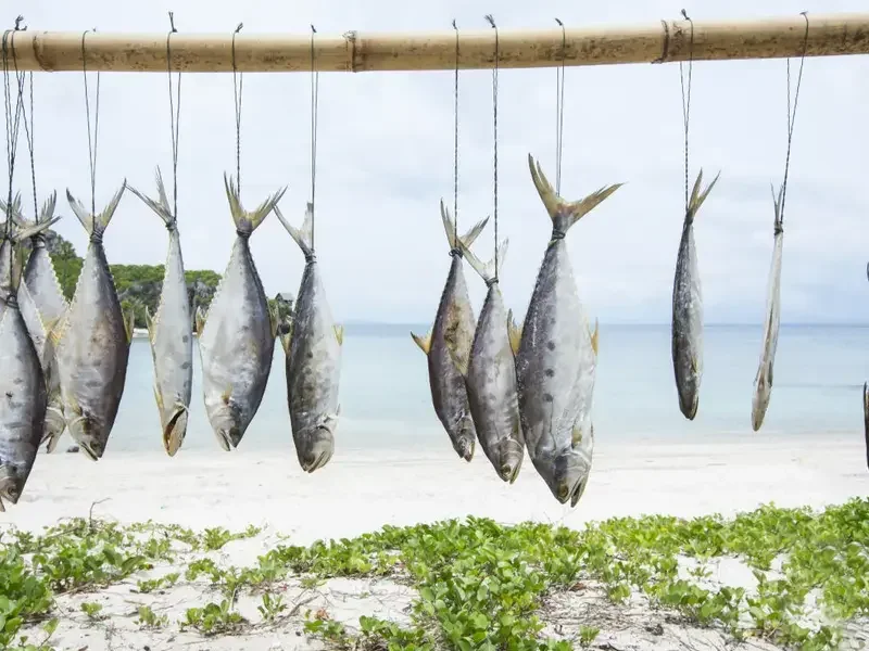 Diferentes tipos de pescado blanco y cómo cocinarlos