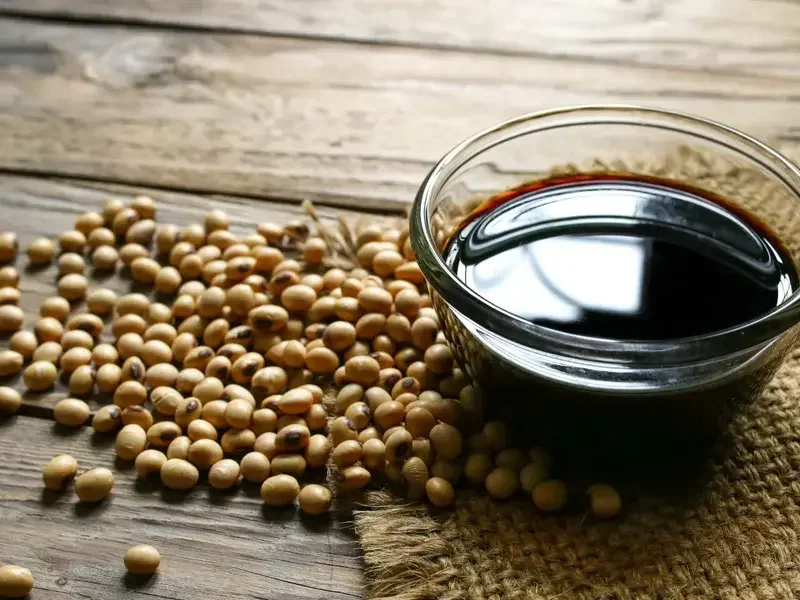 Las principales salsas japonesas y cómo usarlas