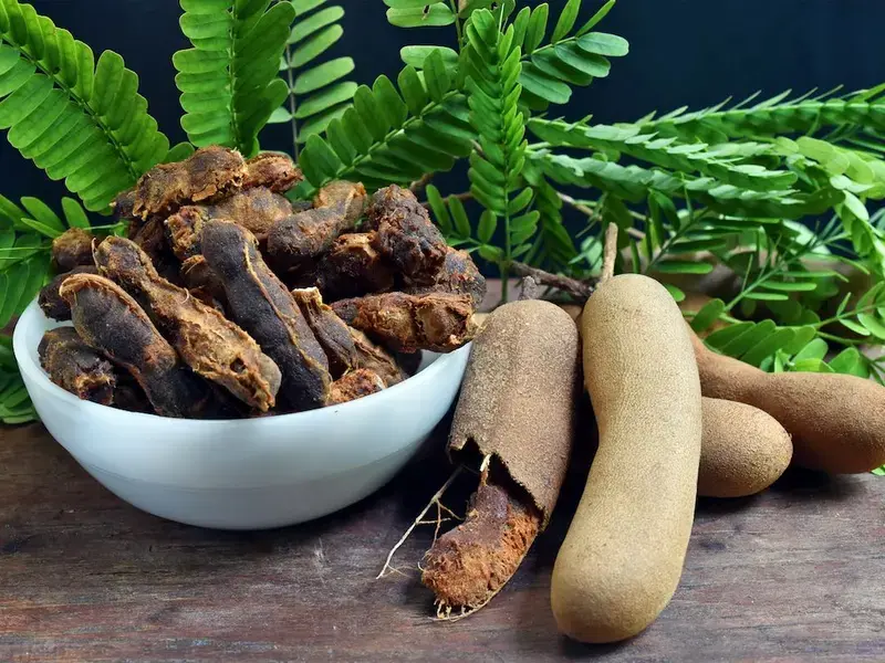 Tamarindo: propiedades, beneficios y usos