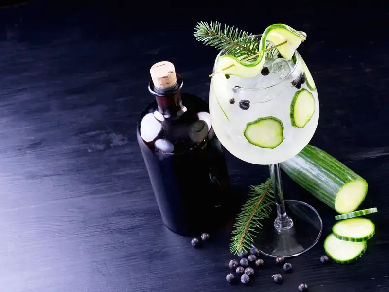 tipos-de-ginebra
