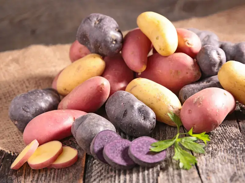 Tipos de patatas: nombres y usos