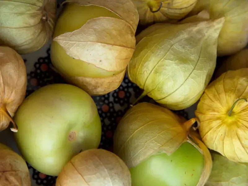 Tomatillo