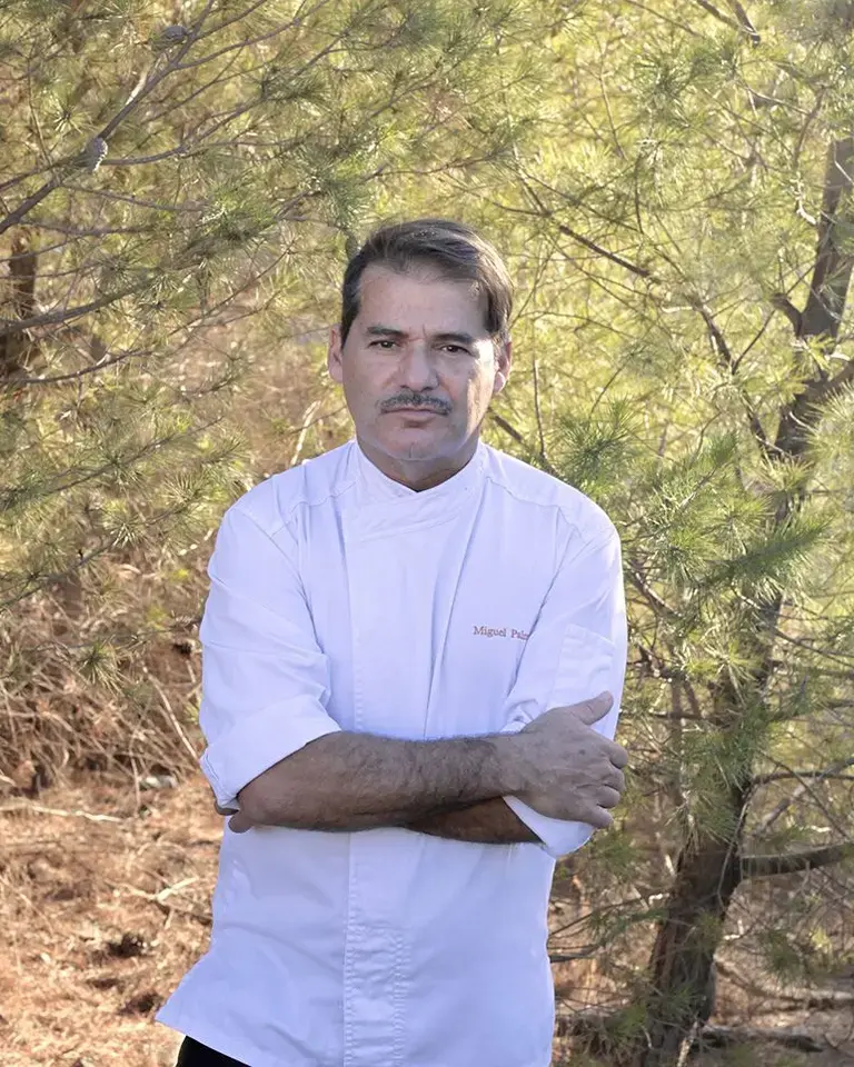 Mike Palmer chef