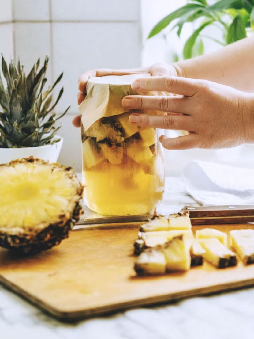 Alimentos fermentados