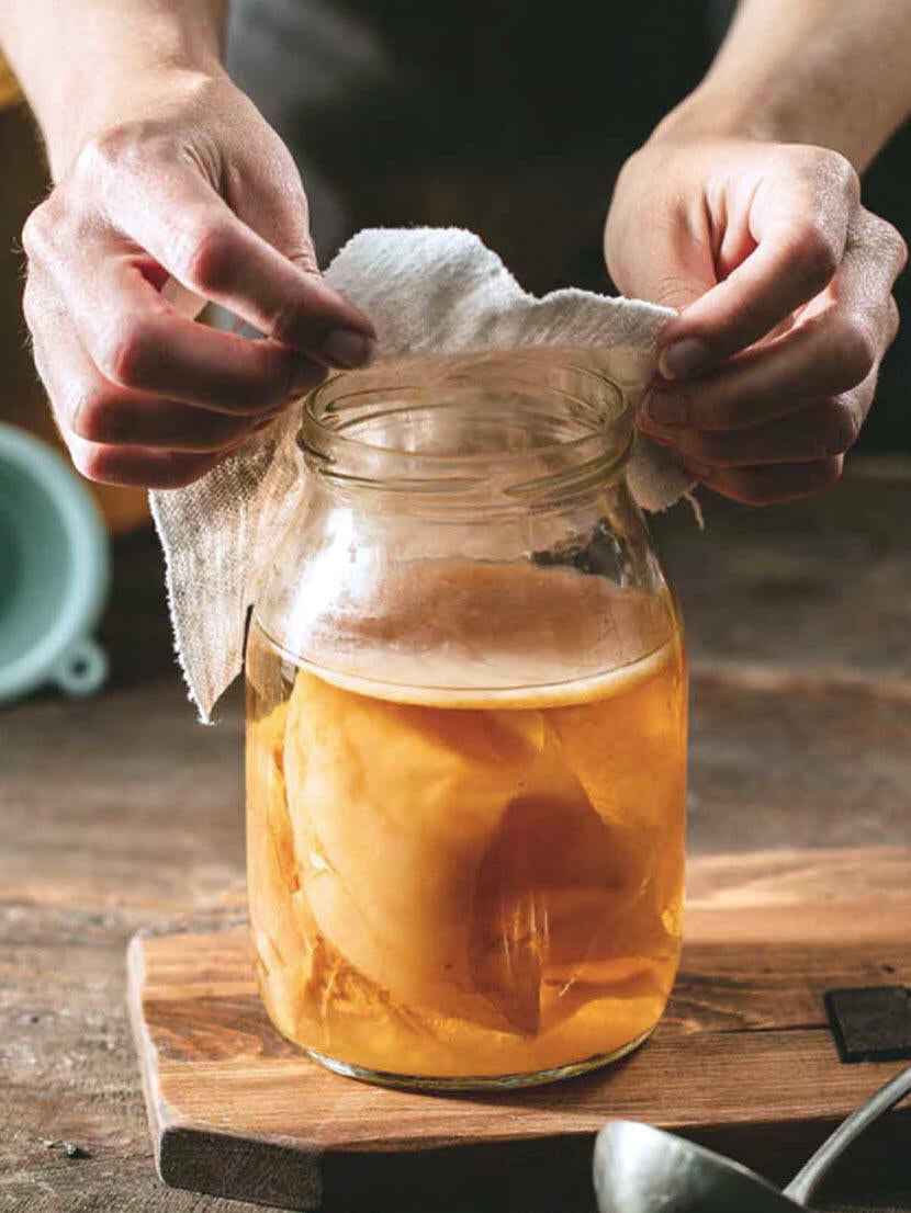 Alimentos fermentados
