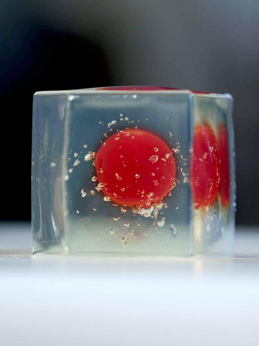 Gastronomía molecular