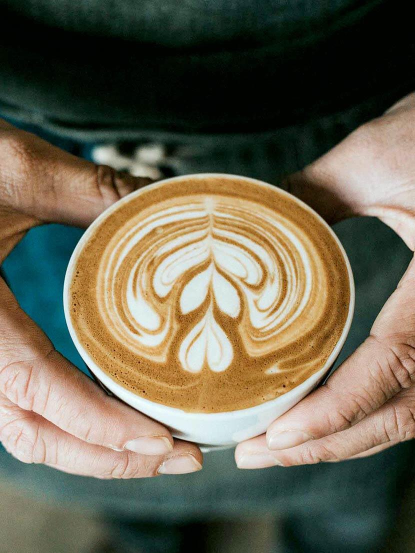 Experto en café